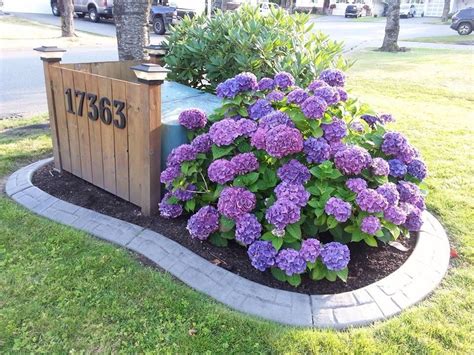 best flowers to put by electrical boxes outsdie|hiding utility boxes in garden.